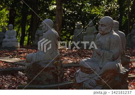 五百羅漢 大泉寺 五百羅漢 大泉寺 142181237