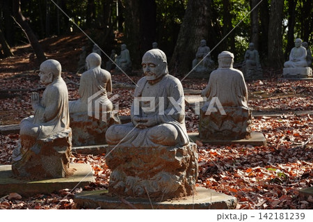 五百羅漢 大泉寺 五百羅漢 大泉寺 142181239