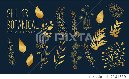 stylish tropical golden leaves template in dark blue background stylish tropical golden leaves template in dark blue background 142181830