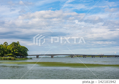 近江大橋 膳所城跡公園 滋賀県大津市 近江大橋 膳所城跡公園 滋賀県大津市 142181942