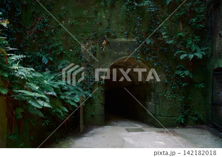 猿島の苔むした要塞跡トンネル入口 神奈川県横須賀市 猿島の苔むした要塞跡トンネル入口 神奈川県横須賀市 142182018