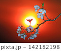 夜明けの朝日を背にした桜の花 142182198