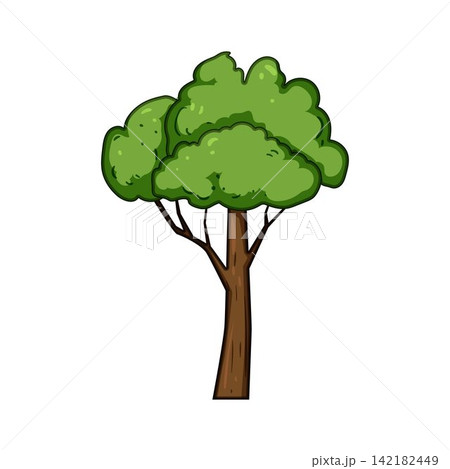 Cartoon tree drawing with green leaves and trunk Cartoon tree drawing with green leaves and trunk 142182449