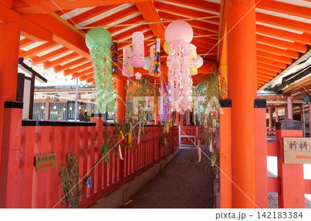 津島神社 七夕飾りがある拝殿への廊下 津島神社 七夕飾りがある拝殿への廊下 142183384