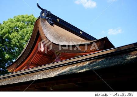 津島神社 本殿の屋根 国重要文化財 津島神社 本殿の屋根 国重要文化財 142183389