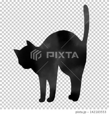 背中を丸める猫の水彩風シルエットイラスト 威嚇・伸びをするポーズの黒猫モノクロ素材 背中を丸める猫の水彩風シルエットイラスト 威嚇・伸びをするポーズの黒猫モノクロ素材 142183553