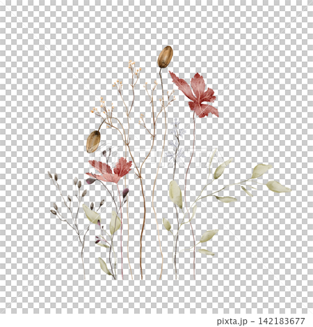 Watercolor Autumn Botanical Bouquet. Red Maple Leaves, Seed Pods, Dried Grasses and Eucalyptus on White Background. Hand-painted illustrations. Asymmetrical composition with varying stem heights Watercolor Autumn Botanical Bouquet. Red Maple Leaves, Seed Pods, Dried Grasses and Eucalyptus on White Background. Hand-painted illustrations. Asymmetrical composition with varying stem heights 142183677