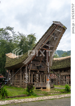 Traditional Tongkonan Toraja house, Sulawesi, Indonesia 142183737