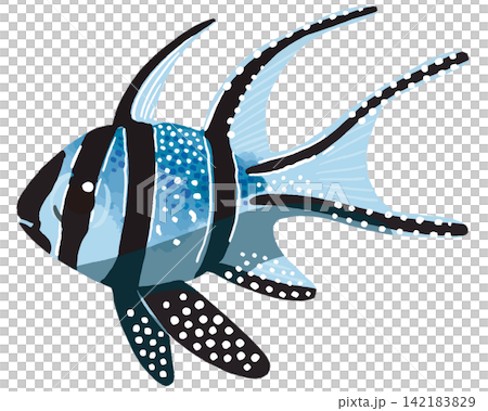 邦蓋豚鯛插圖 - 熱帶魚/海水魚素材 邦蓋豚鯛插圖 - 熱帶魚/海水魚素材 142183829