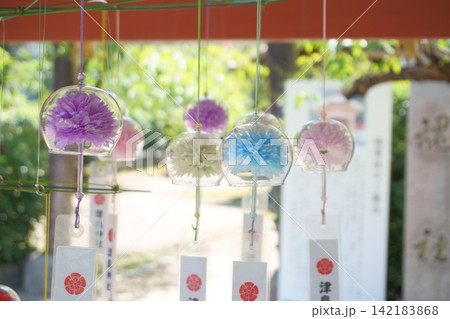 津島神社　手水舎に飾られた花風鈴2 142183868