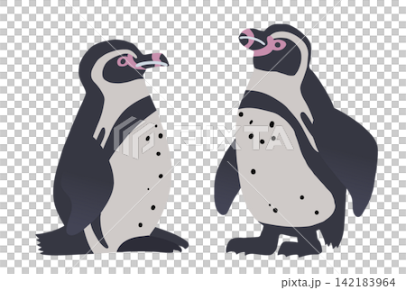 フンボルトペンギン2羽のイラストセット おしゃれなベクター素材 フンボルトペンギン2羽のイラストセット おしゃれなベクター素材 142183964