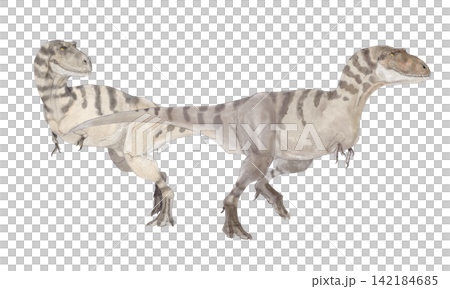 Bistahieversor: An artist's impression of a tyrannosauroid dinosaur that lived in North America during the Late Cretaceous period. Bistahieversor: An artist's impression of a tyrannosauroid dinosaur that lived in North America during the Late Cretaceous period. 142184685