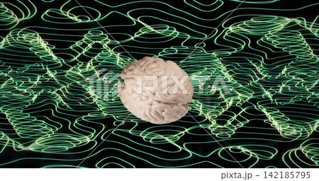 Floating pale beige anatomical brain model hovering above black void, with neon green contour grid. Neural, visualization, abstract, futuristic, digital, luminescent, emerald Floating pale beige anatomical brain model hovering above black void, with neon green contour grid. Neural, visualization, abstract, futuristic, digital, luminescent, emerald 142185795