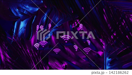 Glowing tropical leaves bathing in magenta and indigo neon light in studio, showing Wi-Fi icons Glowing tropical leaves bathing in magenta and indigo neon light in studio, showing Wi-Fi icons 142186262