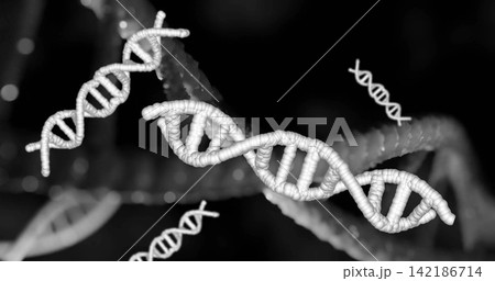 Showing large DNA double helix in dark field, with beaded spine, rungs, small helices, light spots Showing large DNA double helix in dark field, with beaded spine, rungs, small helices, light spots 142186714
