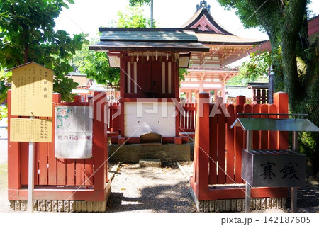 津島神社の摂末社　柏樹社1 142187605