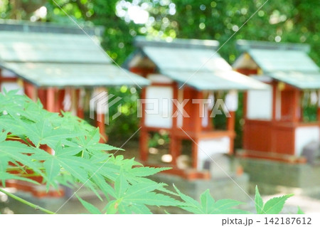津島神社の摂末社2 津島神社の摂末社2 142187612