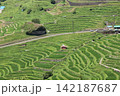 丸山千枚田 142187687