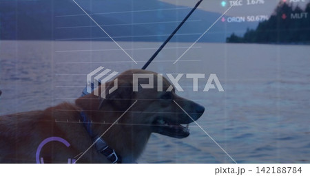 Standing brown dog wearing blue collar and harness on boat edge, showing tether, clip, HUD overlay Standing brown dog wearing blue collar and harness on boat edge, showing tether, clip, HUD overlay 142188784