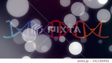 Glowing stylized DNA helix shifting across dark digital backdrop, with bokeh lights and particles Glowing stylized DNA helix shifting across dark digital backdrop, with bokeh lights and particles 142189492