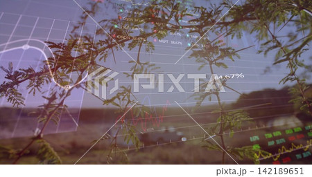 Displaying pinnate branches occupying mid-foreground in rural field, with HUD overlays Displaying pinnate branches occupying mid-foreground in rural field, with HUD overlays 142189651