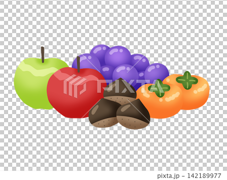 秋の果物のイラスト 秋の果物のイラスト 142189977