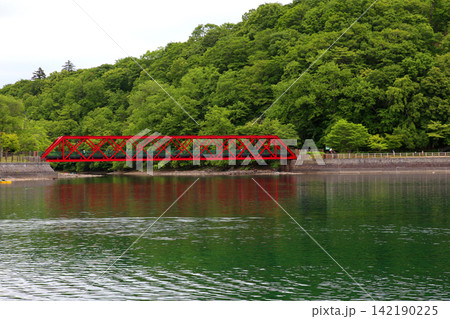 支笏湖　ヒメマス　山線鉄橋　支笏湖観光船　カルデラ湖　北海道観光　　支笏洞爺国立公園　水中遊覧船 142190225