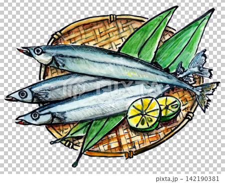 Sanma Sanma 142190381