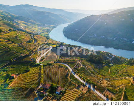 Winding road and Douro River vineyards at sunrise Portugal Winding road and Douro River vineyards at sunrise Portugal 142190894