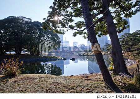 浜離宮恩賜庭園 浜離宮恩賜庭園 142191203