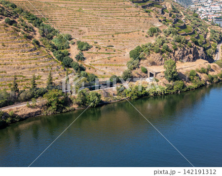 Douro Historic Train near River Vineyard in Portugal Aerial View Douro Historic Train near River Vineyard in Portugal Aerial View 142191312