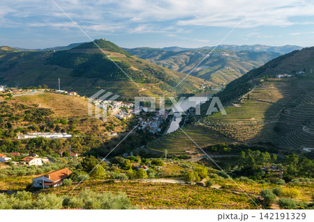 Regua Town in Douro Valley Portugal with Vineyard Hills 142191329