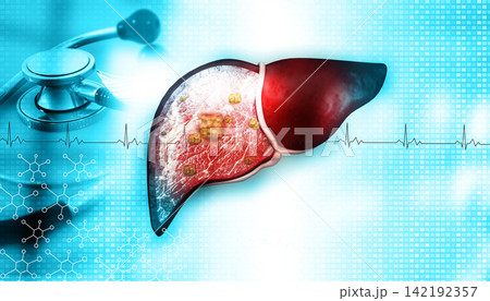 Human liver anatomy on medical background Human liver anatomy on medical background 142192357