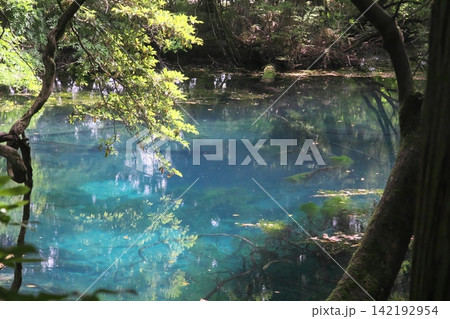 新緑の森に佇む神秘の青い池、山形県遊佐町の丸池様 新緑の森に佇む神秘の青い池、山形県遊佐町の丸池様 142192954