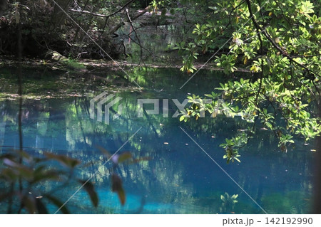 新緑の森に佇む神秘の青い池、山形県遊佐町の丸池様 新緑の森に佇む神秘の青い池、山形県遊佐町の丸池様 142192990