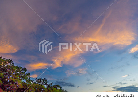 明るい夕焼け雲が広がるファンタスティックな夏の風景 明るい夕焼け雲が広がるファンタスティックな夏の風景 142193325