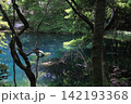 新緑の森に佇む神秘の青い池、山形県遊佐町の丸池様 142193368