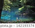 新緑の森に佇む神秘の青い池、山形県遊佐町の丸池様 142193374