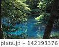 新緑の森に佇む神秘の青い池、山形県遊佐町の丸池様 142193376