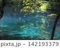 新緑の森に佇む神秘の青い池、山形県遊佐町の丸池様 142193379