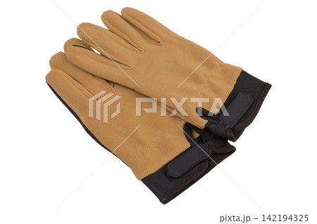 Coyote brown tactical gloves top view isolated on white background. Military shooting gear full finger gloves 142194325