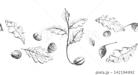 A detailed pencil drawing of a sprouting oak tree, leaves, and acorns in a seamless frame. This illustration is perfect for cards, invitations, seasonal decorations, logo design for handmade items. A detailed pencil drawing of a sprouting oak tree, leaves, and acorns in a seamless frame. This illustration is perfect for cards, invitations, seasonal decorations, logo design for handmade items. 142194992