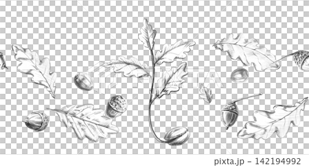 A detailed pencil drawing of a sprouting oak tree, leaves, and acorns in a seamless frame. This illustration is perfect for cards, invitations, seasonal decorations, logo design for handmade items. A detailed pencil drawing of a sprouting oak tree, leaves, and acorns in a seamless frame. This illustration is perfect for cards, invitations, seasonal decorations, logo design for handmade items. 142194992