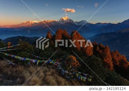 ネパールのプーンヒルから望む日の出のダウラギリ 朝日に輝くヒマラヤの山岳風景 ネパールのプーンヒルから望む日の出のダウラギリ 朝日に輝くヒマラヤの山岳風景 142195124