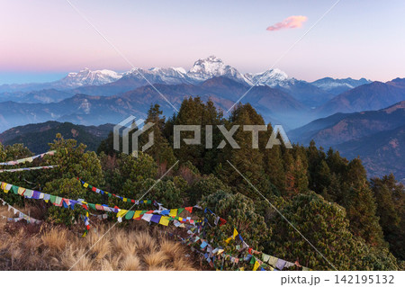 ネパールのプーンヒルから望む日の出のダウラギリ 朝日に輝くヒマラヤの山岳風景 ネパールのプーンヒルから望む日の出のダウラギリ 朝日に輝くヒマラヤの山岳風景 142195132