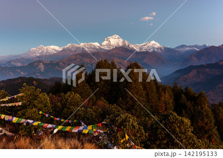 ネパールのプーンヒルから望む日の出のダウラギリ 朝日に輝くヒマラヤの山岳風景  142195133