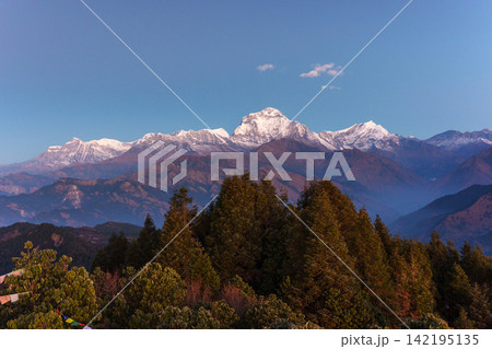 ネパールのプーンヒルから望む日の出のダウラギリ 朝日に輝くヒマラヤの山岳風景 ネパールのプーンヒルから望む日の出のダウラギリ 朝日に輝くヒマラヤの山岳風景 142195135