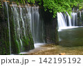 苔むした岩肌を流れ落ちる軽井沢の白糸の滝 142195192