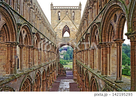 Ruin of Jedburgh Abbey in Scotland 142195293