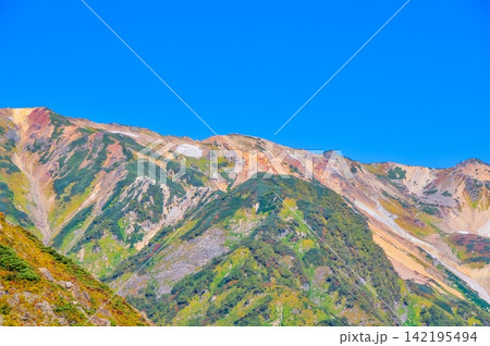 秋の快晴の朝 唐松岳の登山道から望む白馬鑓ヶ岳と杓子岳と白馬岳の風景 秋の快晴の朝 唐松岳の登山道から望む白馬鑓ヶ岳と杓子岳と白馬岳の風景 142195494